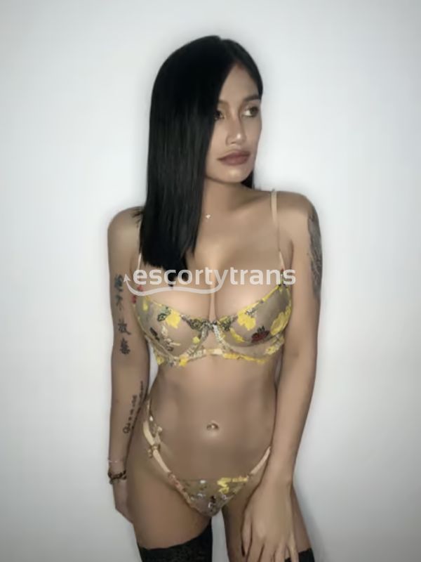 Trans Akita Ladyboy
