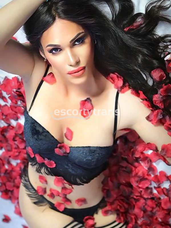 Trans Vittoria Vichi