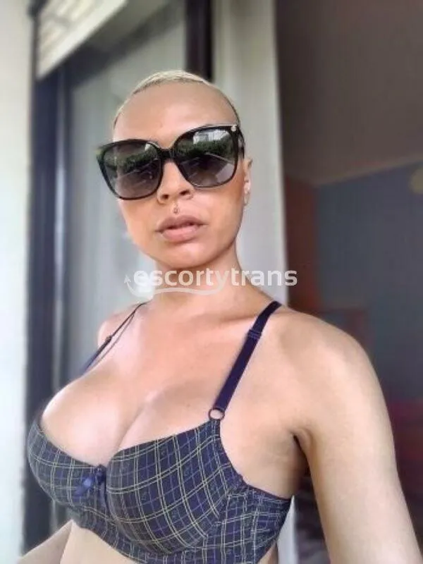 Foto principale di Alessia, escort trans a Piacenza