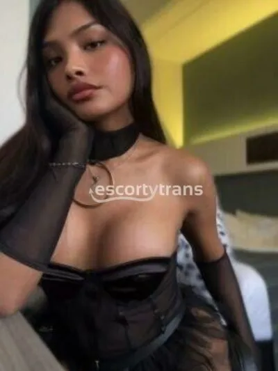 Stella, foto 4