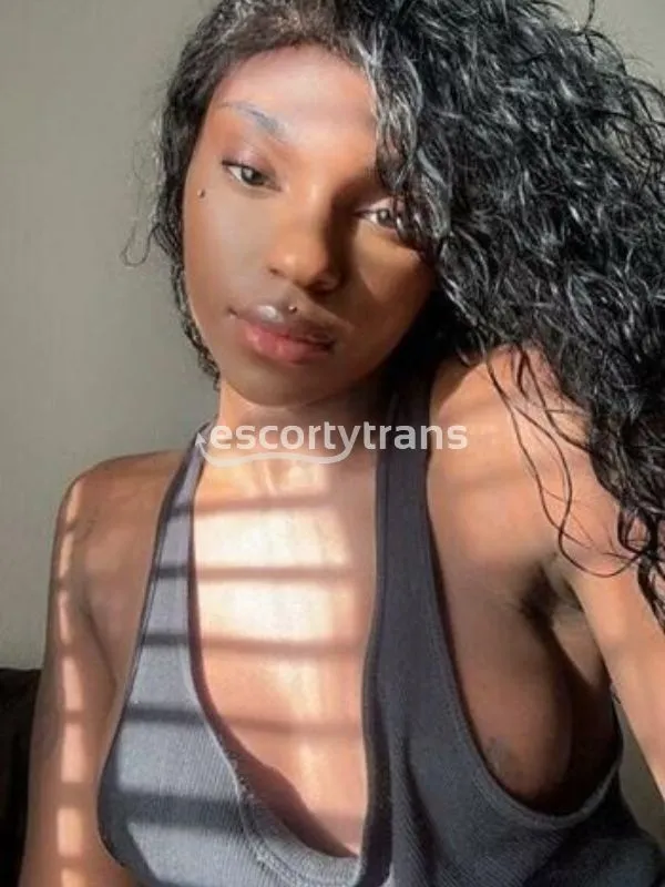 Foto principale di Vanessa, escort trans a Reggio Emilia